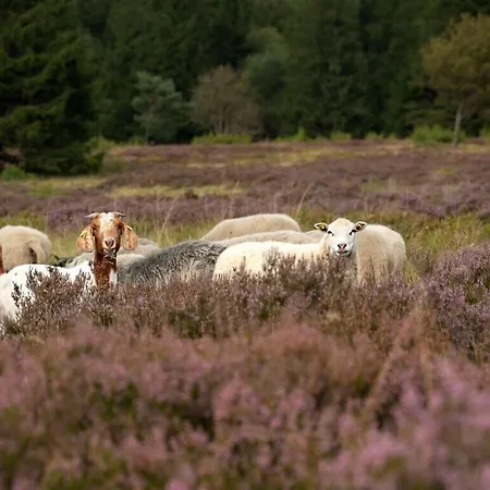 Attractive In Apartament Diemelsee