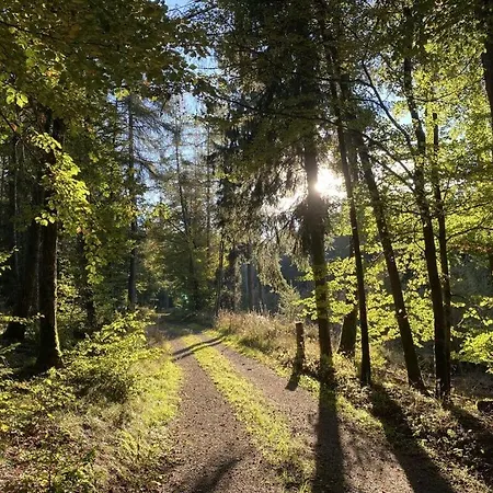 Attractive In Apartament *